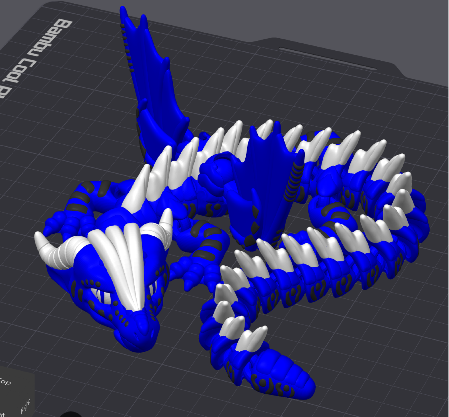 Seawing Dragon