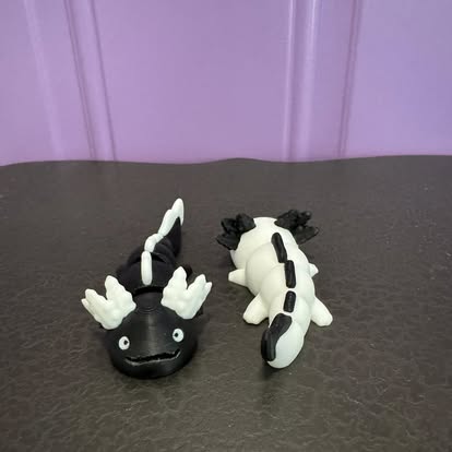 Axolotl