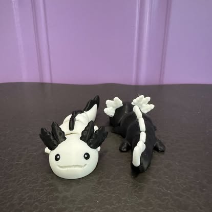 Axolotl